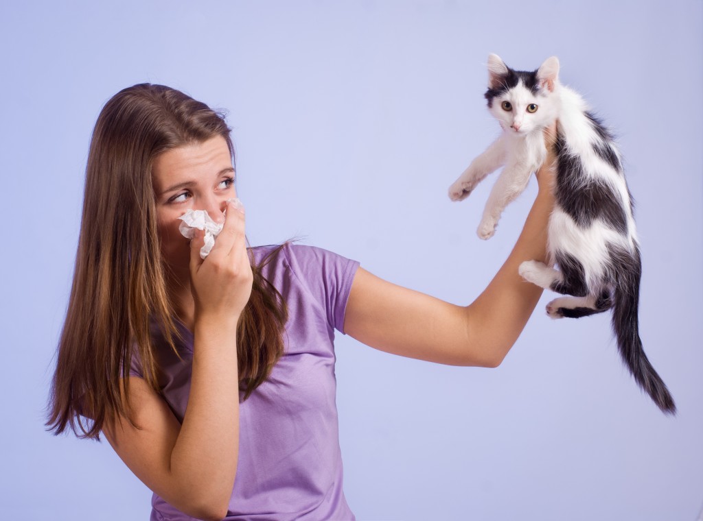 girl with allergies holding cat